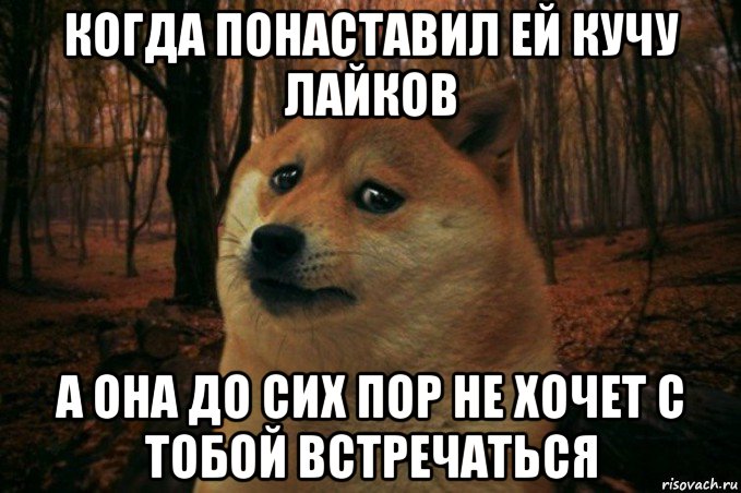 когда понаставил ей кучу лайков а она до сих пор не хочет с тобой встречаться, Мем SAD DOGE