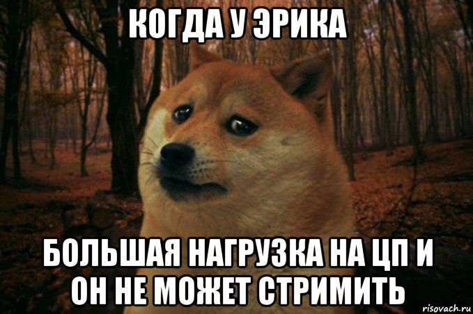 когда у эрика большая нагрузка на цп и он не может стримить, Мем SAD DOGE