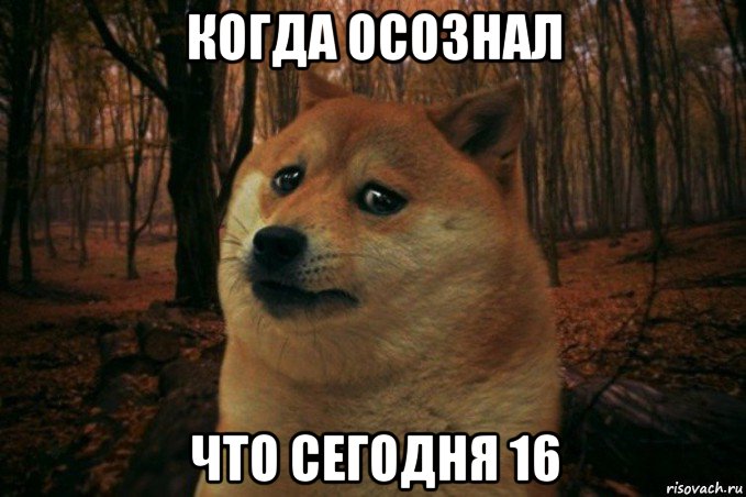 когда осознал что сегодня 16, Мем SAD DOGE