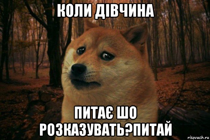 коли дівчина питає шо розказувать?питай, Мем SAD DOGE