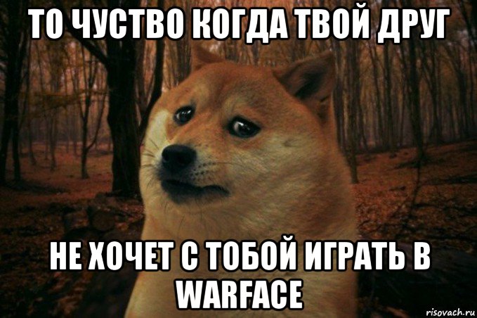 то чуство когда твой друг не хочет с тобой играть в warface, Мем SAD DOGE