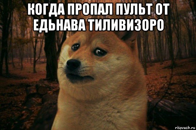 когда пропал пульт от едьнава тиливизоро , Мем SAD DOGE