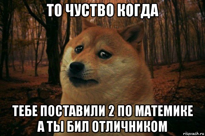 то чуство когда тебе поставили 2 по матемике а ты бил отличником, Мем SAD DOGE