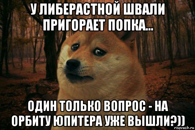 у либерастной швали пригорает попка... один только вопрос - на орбиту юпитера уже вышли?)), Мем SAD DOGE