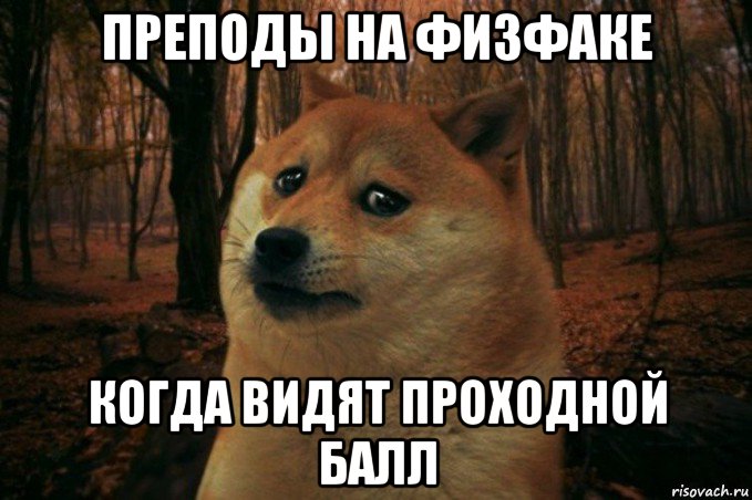 преподы на физфаке когда видят проходной балл, Мем SAD DOGE