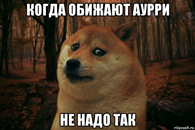 когда обижают аурри не надо так, Мем SAD DOGE