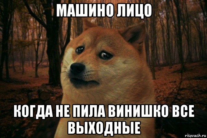 машино лицо когда не пила винишко все выходные, Мем SAD DOGE