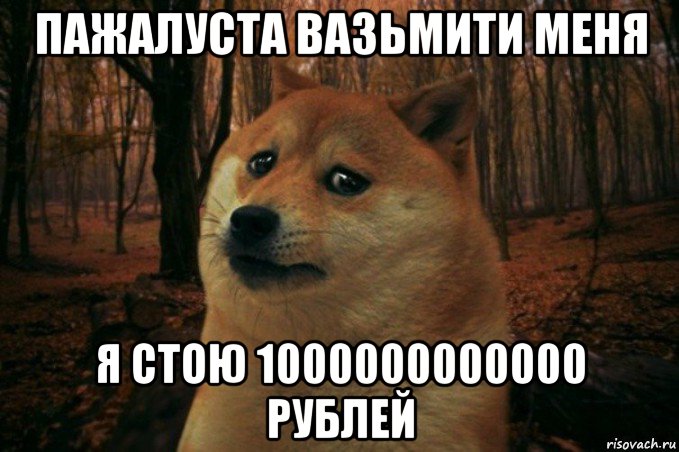 пажалуста вазьмити меня я стою 1000000000000 рублей, Мем SAD DOGE