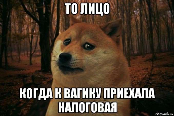 то лицо когда к вагику приехала налоговая, Мем SAD DOGE