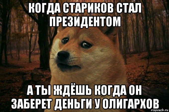 когда стариков стал президентом а ты ждёшь когда он заберет деньги у олигархов, Мем SAD DOGE