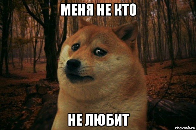 меня не кто не любит, Мем SAD DOGE