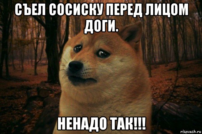 съел сосиску перед лицом доги. ненадо так!!!, Мем SAD DOGE