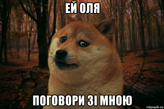 ей оля поговори зі мною, Мем SAD DOGE