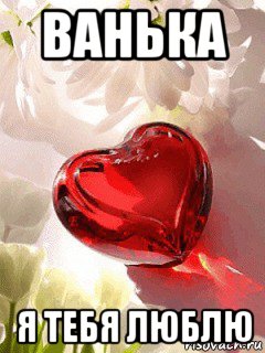 ванька я тебя люблю