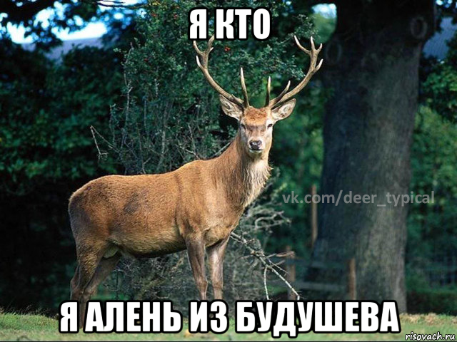 я кто я алень из будушева