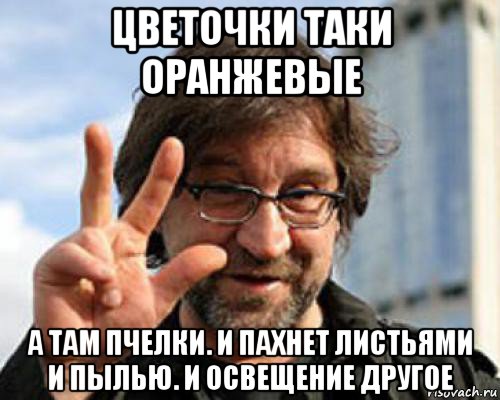 цветочки таки оранжевые а там пчелки. и пахнет листьями и пылью. и освещение другое