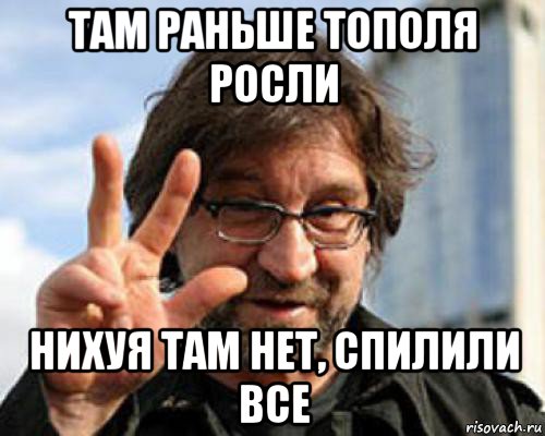 там раньше тополя росли нихуя там нет, спилили все, Мем шевчук