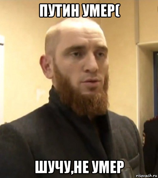 путин умер( шучу,не умер