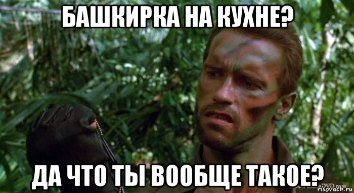 башкирка на кухне? да что ты вообще такое?