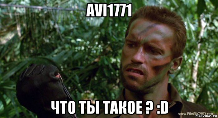 avi1771 что ты такое ? :d