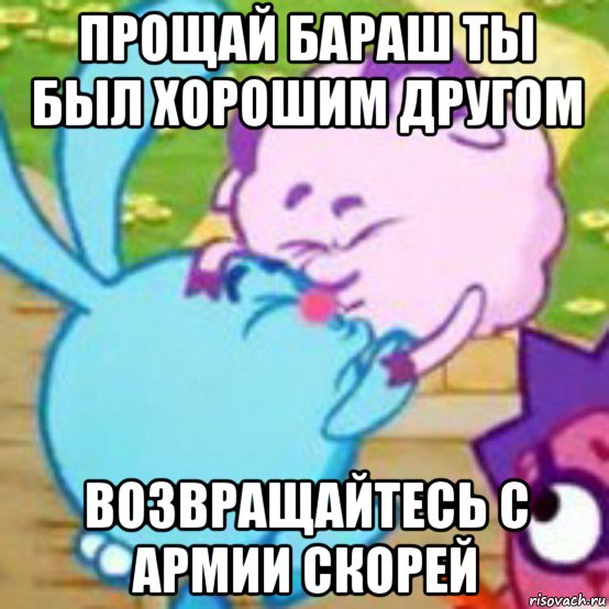 прощай бараш ты был хорошим другом возвращайтесь с армии скорей