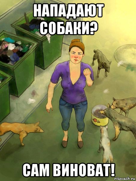 нападают собаки? сам виноват!