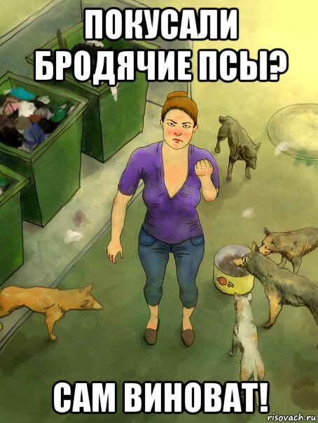 покусали бродячие псы? сам виноват!