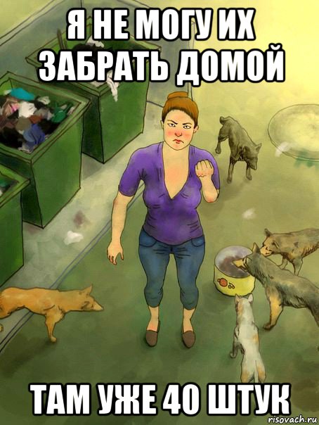 я не могу их забрать домой там уже 40 штук