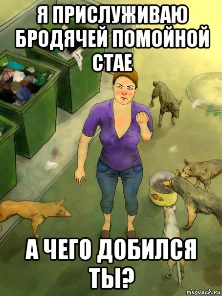 я прислуживаю бродячей помойной стае а чего добился ты?