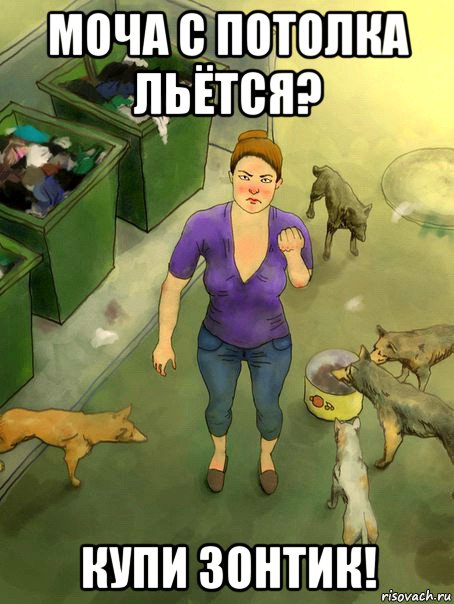 моча с потолка льётся? купи зонтик!