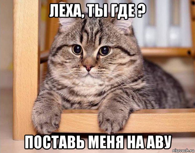 леха, ты где ? поставь меня на аву