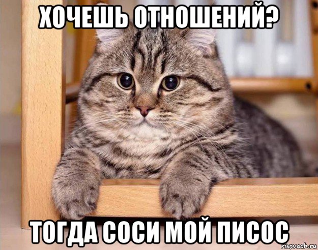 хочешь отношений? тогда соси мой писос