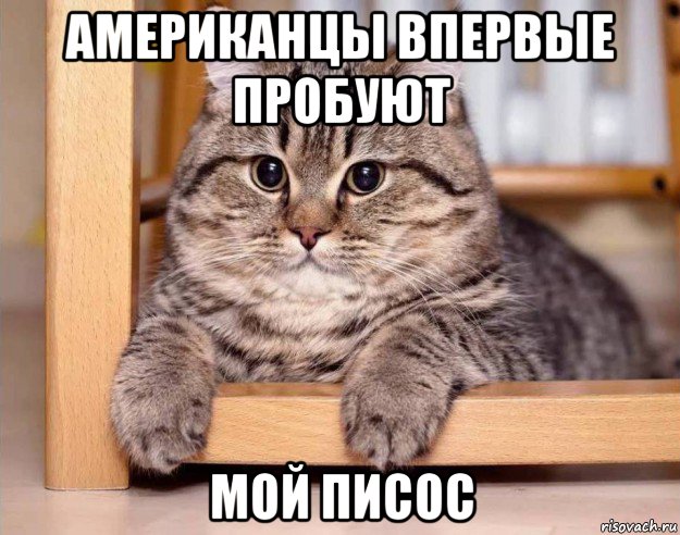 американцы впервые пробуют мой писос