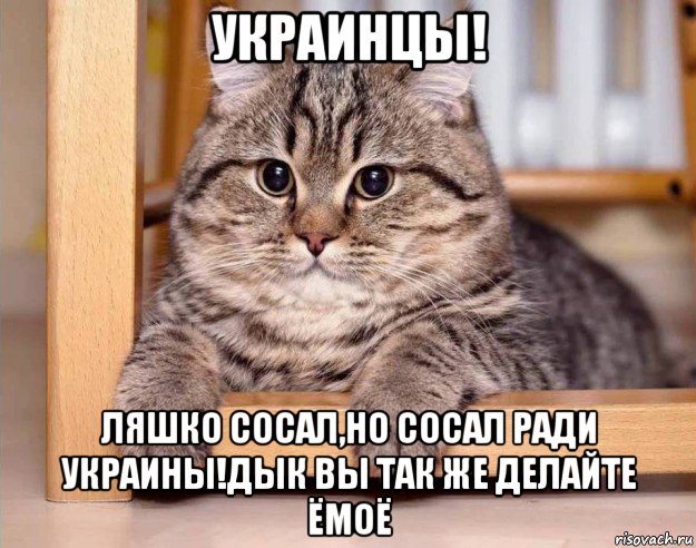 украинцы! ляшко сосал,но сосал ради украины!дык вы так же делайте ёмоё