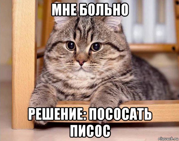 мне больно решение: пососать писос