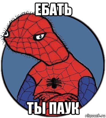 ебать ты паук