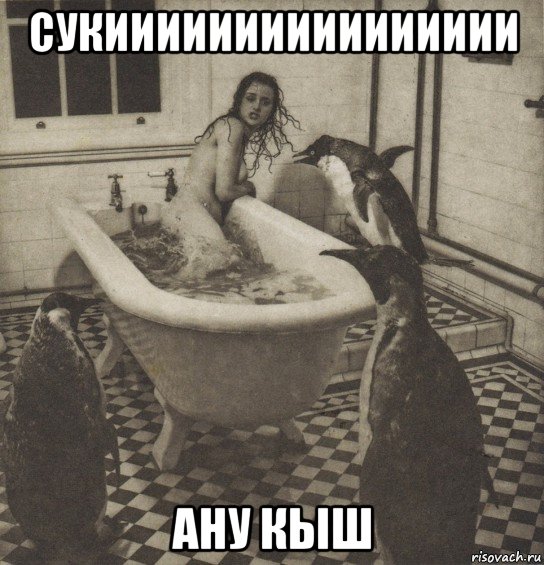 сукииииииииииииииии ану кыш, Мем Столбняк