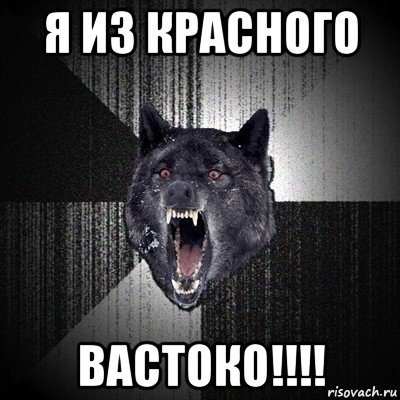 я из красного вастоко!!!!, Мем Сумасшедший волк