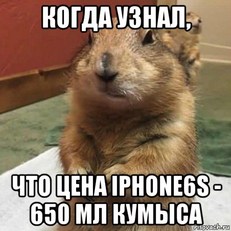 когда узнал, что цена iphone6s - 650 мл кумыса, Мем Суслик спрашивает