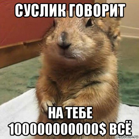 суслик говорит на тебе 100000000000$ всё, Мем Суслик спрашивает