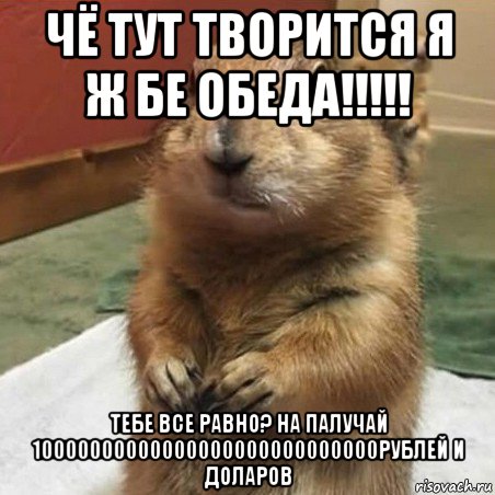 чё тут творится я ж бе обеда!!!!! тебе все равно? на палучай 10000000000000000000000000000рублей и доларов, Мем Суслик спрашивает