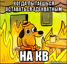 когда пытаешься оставаться адекватным на кв