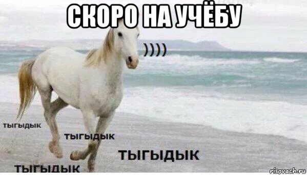 скоро на учёбу , Мем   Тыгыдык