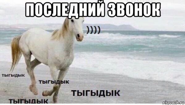 последний звонок 