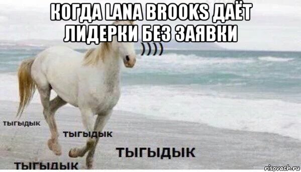 когда lana brooks даёт лидерки без заявки , Мем   Тыгыдык