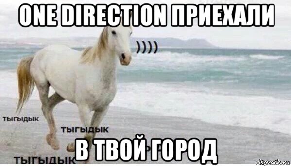 one direction приехали в твой город, Мем   Тыгыдык