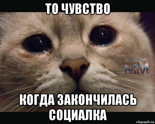 то чувство когда закончилась социалка