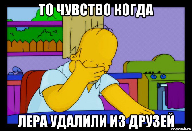 то чувство когда лера удалили из друзей