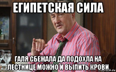 египетская сила галя сбежала да подохла на лестнице можно и выпить крови, Мем Тот Люся (Воронины)