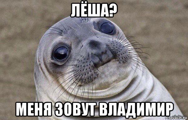 лёша? меня зовут владимир